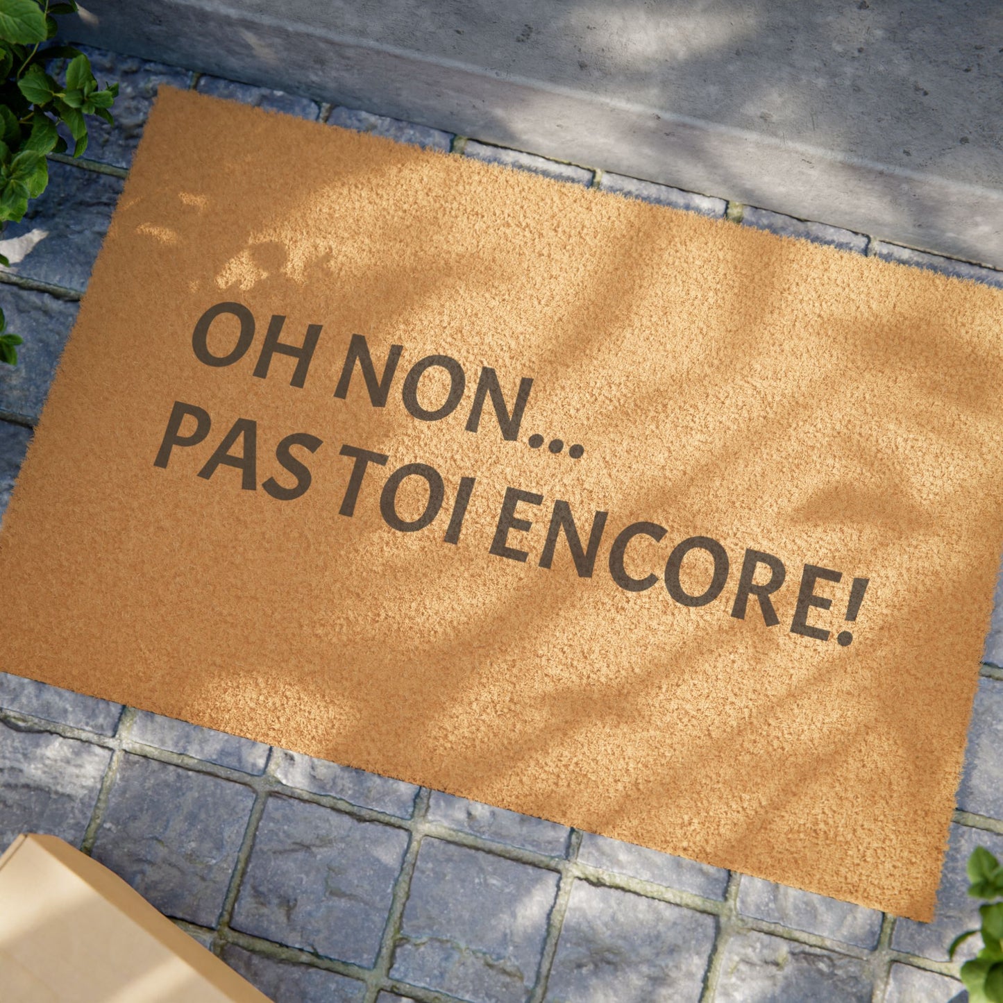 Oh Non... Pas Toi Encore ! – Tapis de Bienvenue Drôle et Original